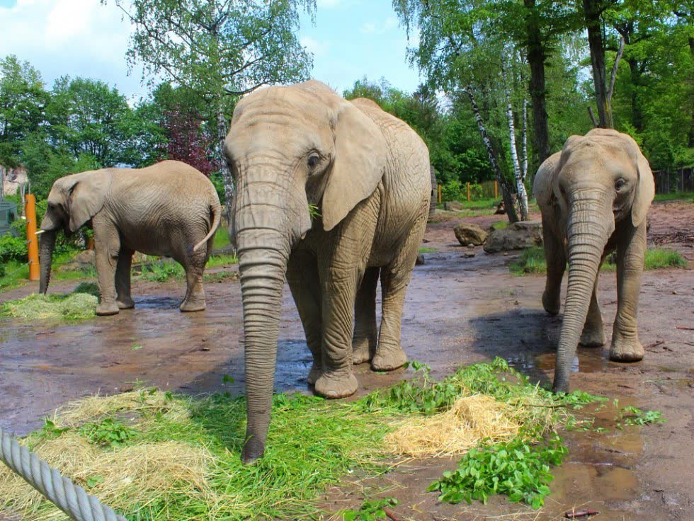 ZOO Lešná Zlín 60km